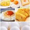 たまご・卵・蛋・egg