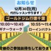 12月30日(月)代行レッスンやります！