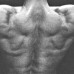 腰に負担がかからない背中トレ