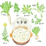 今日は何の日『人日の節句』